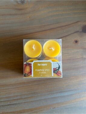 Pier 1 Pumpkin Spice Tealight Candles DISCONTINUED